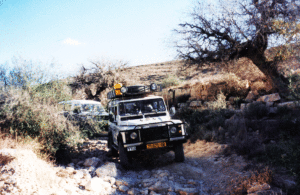 טיולי ג'יפים ותצפיות כוכבים במכתש רמון.